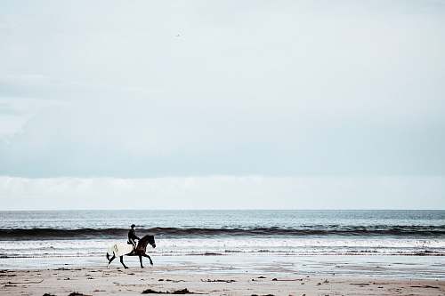 beach person riding on horse running in seashore ocean