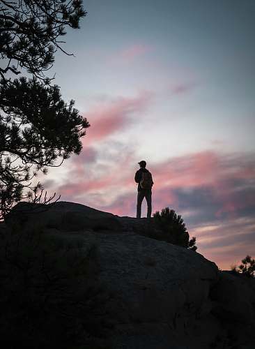 rock man standing on mountain near trees billings