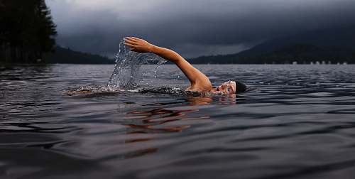 water man swimming on body of water nature