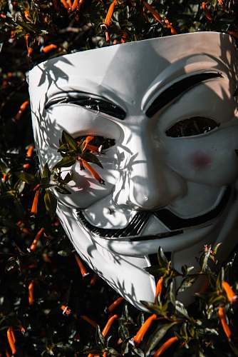helmet Guy Fawkes mask on plant apparel