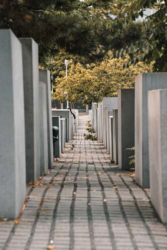 path grey concrete pathway during daytime sidewalk