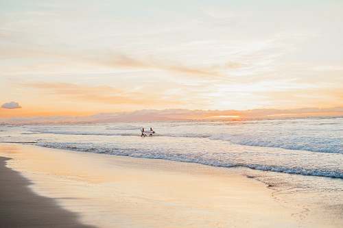 ocean  shoreline